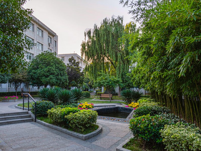 Rehabilitation garden (illustrative)
